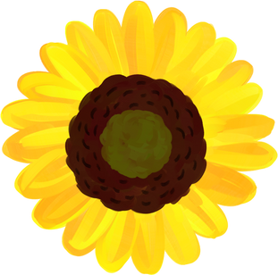 Painterly Sunflower Bloom 